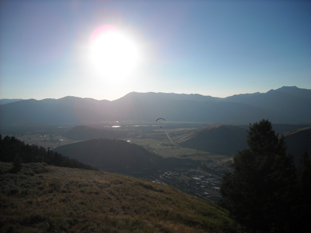 paraglider.jpg